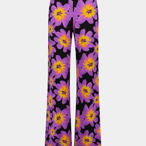 STIEGLITZ Josh Palazzo | Purple Best