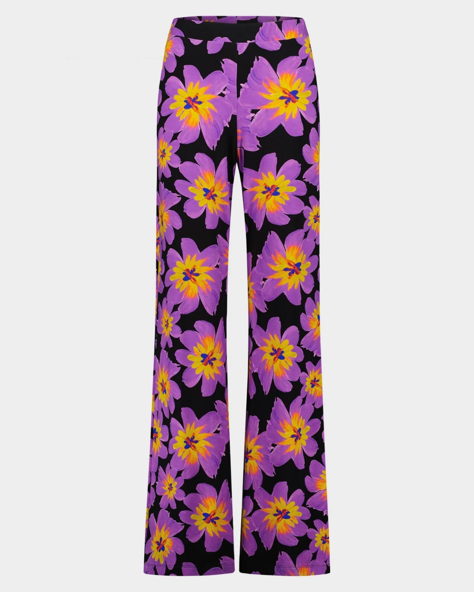 josh_palazzo__purple_0.webp STIEGLITZ Josh Palazzo | Purple Best