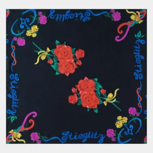 STIEGLITZ Perla Scarf Top | Black Discount