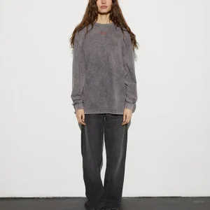 STIEGLITZ Worn Out Skate Longsleeve | Washed Grey Discount